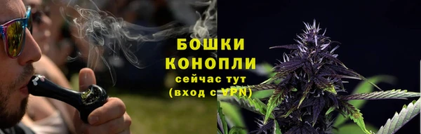 мяу мяу кристалл Няндома