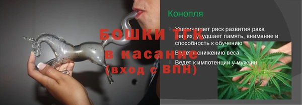 крисы Нязепетровск