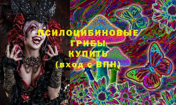 крисы Нязепетровск