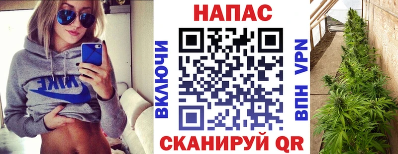 Шишки марихуана гибрид Сим